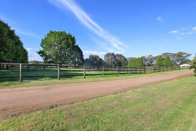 Mixed Farming For Sale - VIC - Warragul - 3820 - Landsborough Stud  (Image 2)