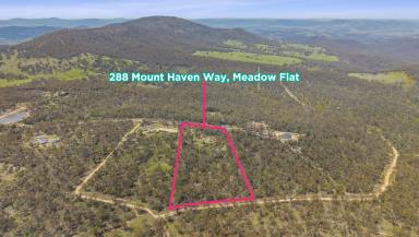 Residential Block For Sale - NSW - Meadow Flat - 2795 - Your Perfect Rural Lifestyle Awaits (Image 2)