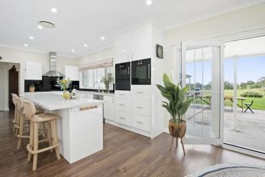 Other (Rural) For Sale - QLD - Biddaddaba - 4275 - Premier Equestrian Estate on Two Titles *369 Acres* 4 Homes, Covered Olympic Arena  (Image 2)