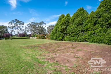 Residential Block For Sale - NSW - Glen Innes - 2370 - Spacious 1,340m² Vacant Block – Build Your Dream Home  (Image 2)