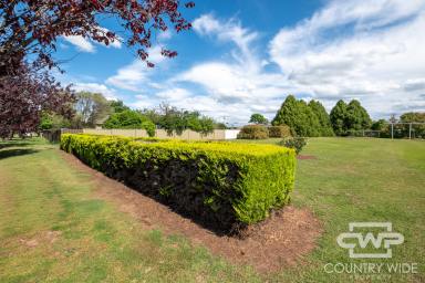 Residential Block For Sale - NSW - Glen Innes - 2370 - Spacious 1,340m² Vacant Block – Build Your Dream Home  (Image 2)