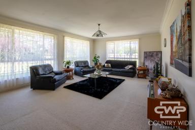 House For Sale - NSW - Glen Innes - 2370 - Well-Maintained Brick Home with Space, Warmth & Comfort (Image 2)