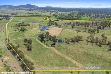 Livestock For Sale - QLD - Lower Wonga - 4570 - PRIME GRAZING COUNTRY WITHIN 20 MINUTES OF GYMPIE  (Image 2)