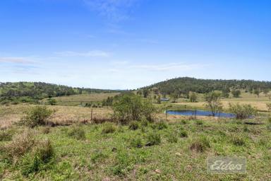 Livestock Auction - QLD - Lower Wonga - 4570 - TO BE AUCTIONED - PRIME GRAZING COUNTRY WITHIN 20 MINUTES OF GYMPIE  (Image 2)