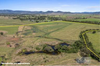 Livestock Auction - QLD - Lower Wonga - 4570 - TO BE AUCTIONED - PRIME GRAZING COUNTRY WITHIN 20 MINUTES OF GYMPIE (Image 2)
