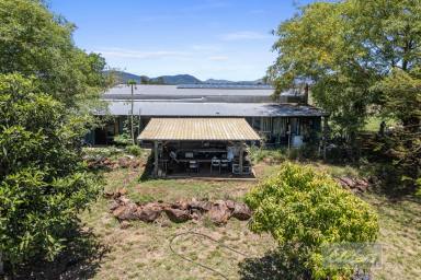 Livestock For Sale - QLD - Lower Wonga - 4570 - PRIME GRAZING COUNTRY WITHIN 20 MINUTES OF GYMPIE (Image 2)