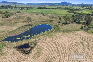 Livestock Auction - QLD - Lower Wonga - 4570 - TO BE AUCTIONED - PRIME GRAZING COUNTRY WITHIN 20 MINUTES OF GYMPIE  (Image 2)