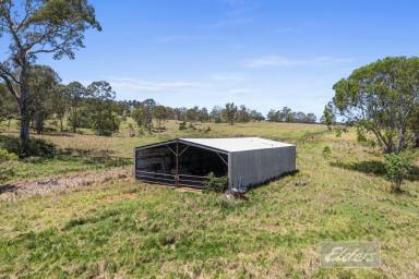 Livestock For Sale - QLD - Lower Wonga - 4570 - PRIME GRAZING COUNTRY WITHIN 20 MINUTES OF GYMPIE (Image 2)