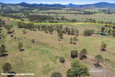 Livestock Auction - QLD - Lower Wonga - 4570 - TO BE AUCTIONED - PRIME GRAZING COUNTRY WITHIN 20 MINUTES OF GYMPIE (Image 2)