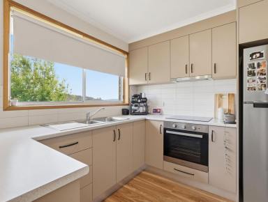 Unit For Lease - TAS - Glenorchy - 7010 - Immaculate & Modern Unit! (Image 2)