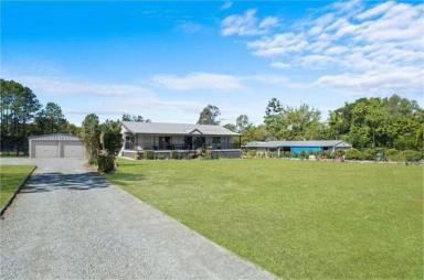 Acreage/Semi-rural For Lease - QLD - Elimbah - 4516 - Peaceful Country Living for long-term rent (Image 2)