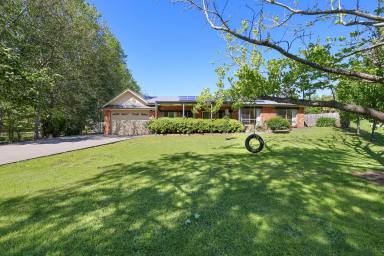 House For Sale - VIC - Warragul - 3820 - Two Dwellings with Space, Lifestyle and Versatility in a Quiet Court (Image 2)