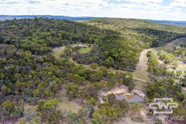 Lifestyle For Sale - NSW - Emmaville - 2371 - Peace, Privacy & Space on the Edge of Town (Image 2)