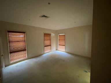 House For Lease - NSW - Denman - 2328 - Spacious four bedroom home in rural setting  (Image 2)