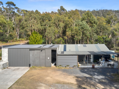 House For Sale - TAS - Bicheno - 7215 - Private Bush Retreat, Water Views & Impressive Shedding! (Image 2)