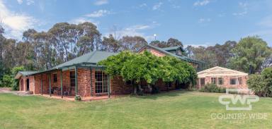 House For Sale - NSW - Glen Innes - 2370 - Spacious Family Haven with Self-Contained Granny Flat on 3 Acres  (Image 2)