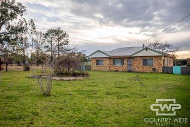 Acreage/Semi-rural Leased - NSW - Glen Innes - 2370 - Semi Rural Living with Rental Options!  (Image 2)