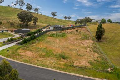 Residential Block For Sale - NSW - Mudgee - 2850 - RARE VACANT LAND IN ESTABLISHED FAMILY ESTATE  (Image 2)