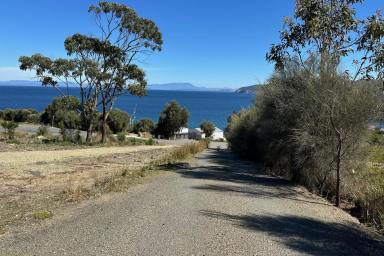 Residential Block For Sale - TAS - White Beach - 7184 - "Space, Serenity & Sea Views in White Beach" (Image 2)