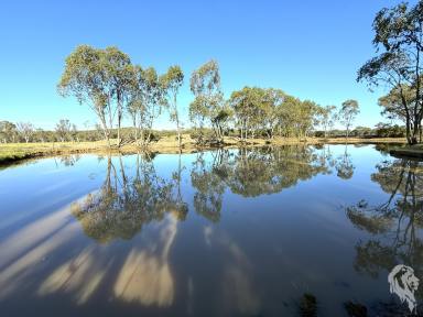 Residential Block For Sale - NSW - Baan Baa - 2390 - UNIQUE OPPORTUNITY TO PURCHASE ACRES IN BAAN BAA! (Image 2)