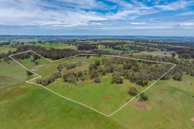 Lifestyle Auction - NSW - Laggan - 2583 - "The Perfect Blend of Lifestyle and Productive Grazing"  (Image 2)