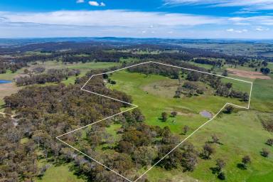 Lifestyle Auction - NSW - Laggan - 2583 - "The Perfect Blend of Lifestyle and Productive Grazing"  (Image 2)