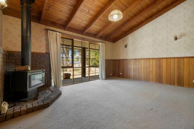 House For Sale - VIC - Longford - 3851 - Country Lifestyle Without the Price Tag — Acreage, Studio, Big Shed (Image 2)