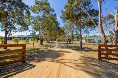 House For Sale - VIC - Longford - 3851 - Country Lifestyle Without the Price Tag — Acreage, Studio, Big Shed (Image 2)