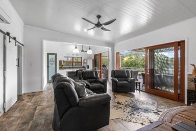 Lifestyle For Sale - QLD - Kin Kin - 4571 - DREAM HINTERLAND PROPERTY (Image 2)