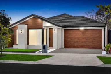 House For Sale - VIC - Werribee - 3030 - New designer home with 4 beds, study nook & luxe finishes in Riverwalk  (Image 2)