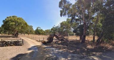 Lifestyle Sold - SA - Springton - 5235 - Manageable parcel of country, stone cottage. (Image 2)