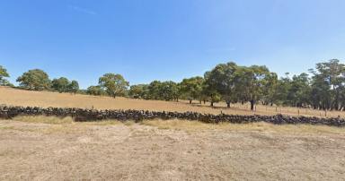 Lifestyle Sold - SA - Springton - 5235 - Manageable parcel of country, stone cottage. (Image 2)