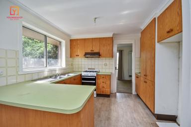 House Auction - VIC - Shepparton - 3630 - Investors - 1st Home Buyers - Renovators - Great Opportunity! (Image 2)