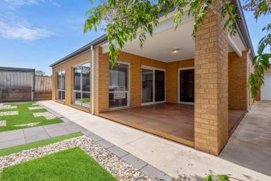 House Sold - VIC - North Bendigo - 3550 - Modern Comfort and Convenience in Close to Town Location  (Image 2)