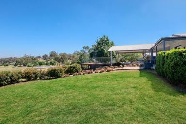 Lifestyle For Sale - NSW - Mudgee - 2850 - INCREDIBLE RURAL HOME AND ENTERTAINERS DELIGHT  (Image 2)