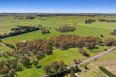 Other (Rural) Auction - NSW - Crookwell - 2583 - The Oasis, Lot 308 Hawthorne Tree Road
A Magical Country Escape (Image 2)