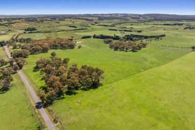 Other (Rural) Auction - NSW - Crookwell - 2583 - The Oasis, Lot 308 Hawthorne Tree Road
A Magical Country Escape (Image 2)