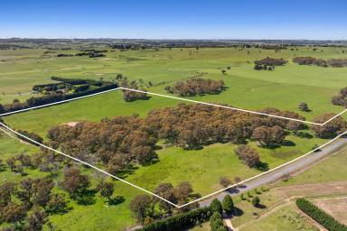 Other (Rural) Sold - NSW - Crookwell - 2583 - The Oasis, Lot 308 Hawthorne Tree Road 
A Magical Country Escape  (Image 2)