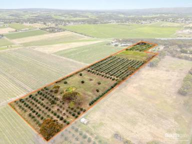 Other (Rural) For Sale - SA - McLaren Vale - 5171 - Rare Vacant Small Acreage – 3.9 ha (approx. 9.6 acres)  (Image 2)