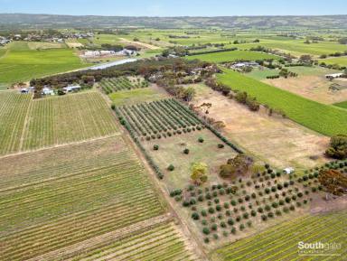 Other (Rural) For Sale - SA - McLaren Vale - 5171 - Rare Vacant Small Acreage – 3.9 ha (approx. 9.6 acres)  (Image 2)