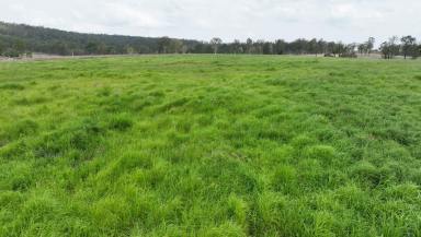 Mixed Farming For Sale - QLD - Windera - 4605 - A Highly Developed, Diversified Irrigated Cropping & Grazing Opportunity  (Image 2)