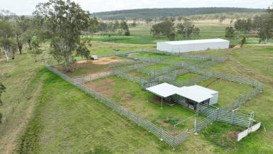 Mixed Farming For Sale - QLD - Windera - 4605 - A Highly Developed, Diversified Irrigated Cropping & Grazing Opportunity  (Image 2)
