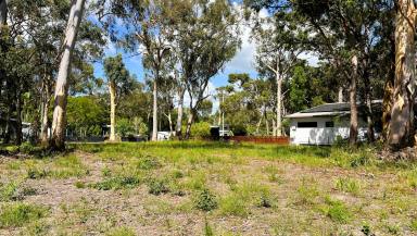 Residential Block For Sale - QLD - Macleay Island - 4184 - 1,227m2 -  Double Block - walk to Dalpura Beach  (Image 2)