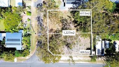 Residential Block For Sale - QLD - Macleay Island - 4184 - 1,227m2 -  Double Block - walk to Dalpura Beach  (Image 2)