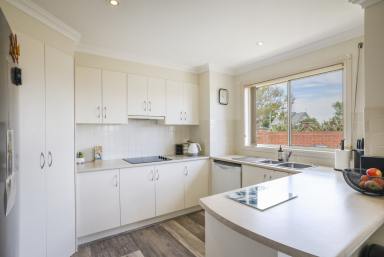 Unit For Sale - NSW - South Grafton - 2460 - FREE STANDING VILLA IN BELLEVUE HEIGHTS  (Image 2)