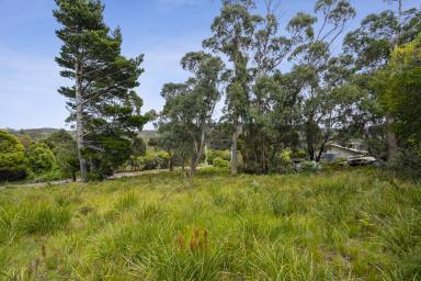 Residential Block For Sale - TAS - Nubeena - 7184 - If affordability is important to you? Over 1/4 of an acre building allotment  (Image 2)