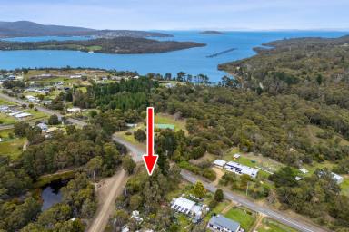 Residential Block For Sale - TAS - Nubeena - 7184 - If affordability is important to you? Over 1/4 of an acre building allotment  (Image 2)