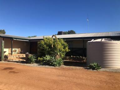 Lifestyle For Sale - WA - Kununoppin - 6489 - Beautiful Family Home in the Heart of Kununoppin - Just Listed!  (Image 2)