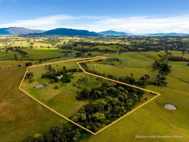 Acreage/Semi-rural For Sale - NSW - Quaama - 2550 - PEACEFUL RURAL LIVING ON 24 FERTILE ACRES  (Image 2)