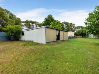 Acreage/Semi-rural For Sale - NSW - Quaama - 2550 - PEACEFUL RURAL LIVING ON 24 FERTILE ACRES  (Image 2)